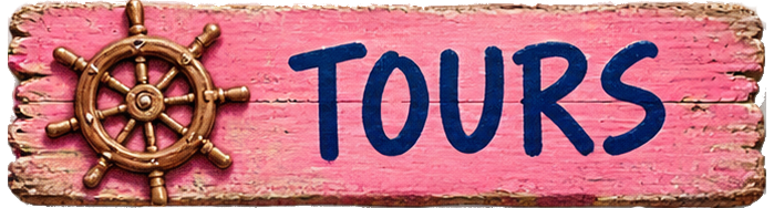 Our Tours